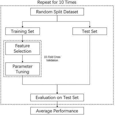 Rupture Risk Assessment for Cerebral Aneurysm Using Interpretable Machine Learning on Multidimensional Data